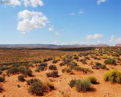 Arizona - Page - Horseshoe Bend