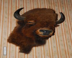 Arizona - Tucson - Old Tucson