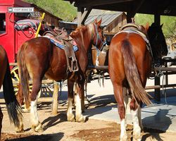 Arizona - Tucson - Old Tucson