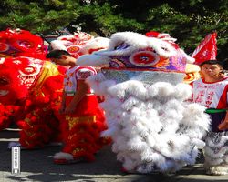 California - San Francisco - Chinatown
