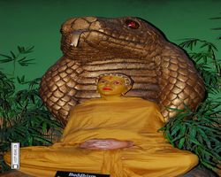 California - San Francisco - Fishermans Wharf - Madame Tussauds