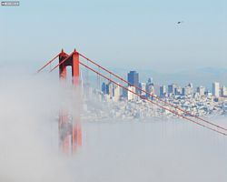 California - San Francisco - Golden Gate Bridge