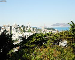 California - San Francisco - Golden Gate Bridge