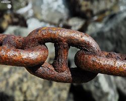 California - San Francisco - Golden Gate Bridge