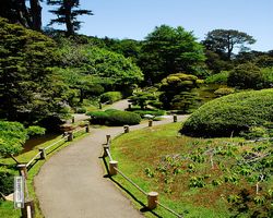California - San Francisco - Golden Gate Park - Japanese Tea Garden