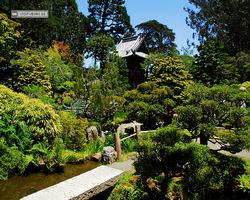 California - San Francisco - Golden Gate Park - Japanese Tea Garden
