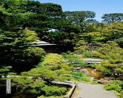 California - San Francisco - Golden Gate Park - Japanese Tea Garden