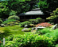 California - San Francisco - Golden Gate Park - Japanese Tea Garden
