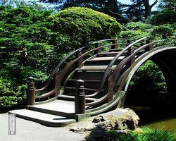 California - San Francisco - Golden Gate Park - Japanese Tea Garden