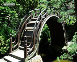 California - San Francisco - Golden Gate Park - Japanese Tea Garden