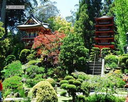 California - San Francisco - Golden Gate Park - Japanese Tea Garden