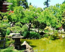 California - San Francisco - Golden Gate Park - Japanese Tea Garden