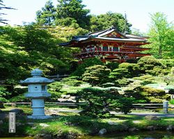California - San Francisco - Golden Gate Park - Japanese Tea Garden