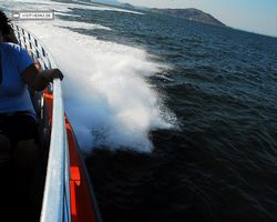 California - San Francisco - Pier 39 - Bay Rocket