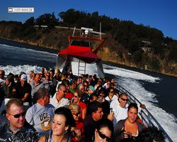 California - San Francisco - Pier 39 - Bay Rocket