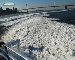 California - San Francisco - Pier 39 - Bay Rocket