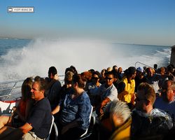 California - San Francisco - Pier 39 - Bay Rocket