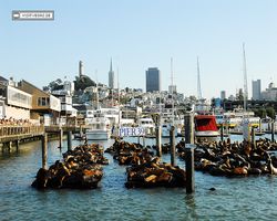 California - San Francisco - Pier 39 - Bay Rocket