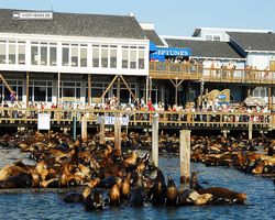 California - San Francisco - Pier 39 - Bay Rocket