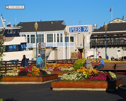 California - San Francisco - Pier 39