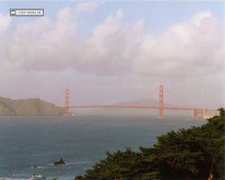 California - San Francisco 1998
