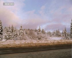 California - San Francisco 1998