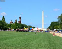 District of Columbia - Washington - 4th of July Parade 2014