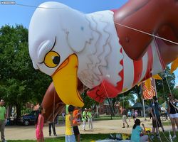 District of Columbia - Washington - 4th of July Parade 2014