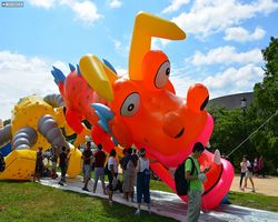 District of Columbia - Washington - 4th of July Parade 2014