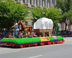 District of Columbia - Washington - 4th of July Parade 2014