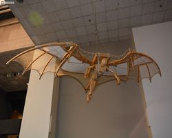 District of Columbia - Washington - Smithonian National Air and Space Museum