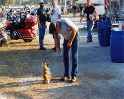 Florida - Daytona Bike Week 1994