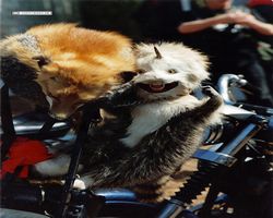 Florida - Daytona Bike Week 1994