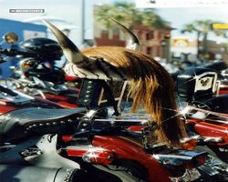 Florida - Daytona Bike Week 1995