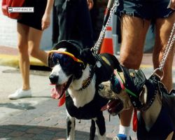 Florida - Daytona Bike Week 1995
