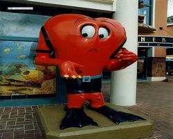 Florida - Daytona Bike Week 1995