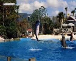 Florida - Daytona Bike Week 1995
