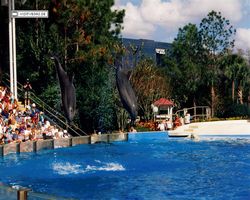 Florida - Daytona Bike Week 1995