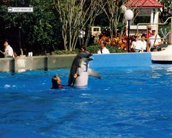 Florida - Daytona Bike Week 1995