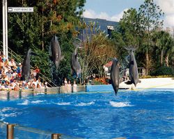 Florida - Daytona Bike Week 1995