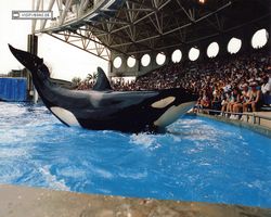 Florida - Daytona Bike Week 1995