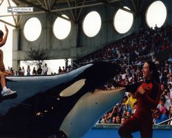 Florida - Daytona Bike Week 1995