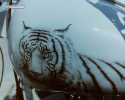 Florida - Daytona Bike Week 1996