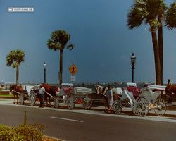 Florida - Daytona Bike Week 1996