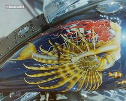 Florida - Daytona Bike Week 1996