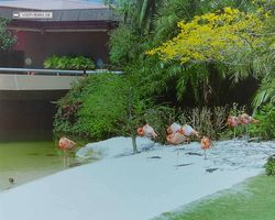 Florida - Daytona Bike Week 1996