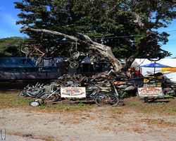 Florida - Daytona Bike Week 2015