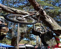 Florida - Daytona Bike Week 2015