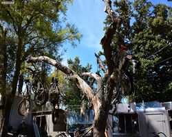 Florida - Daytona Bike Week 2015