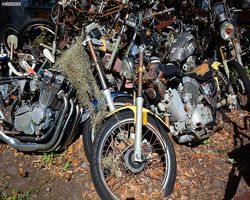 Florida - Daytona Bike Week 2015